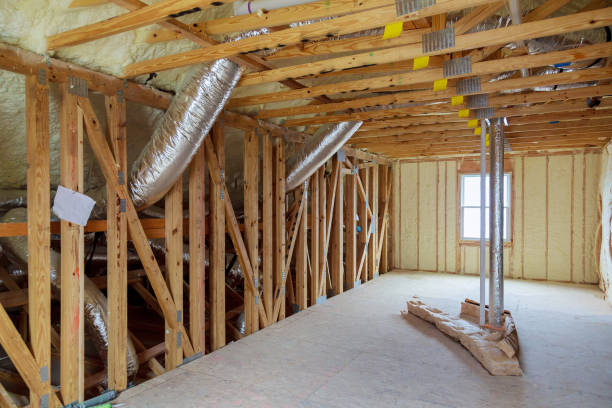 Best Home Insulation Services  in Mayo, FL