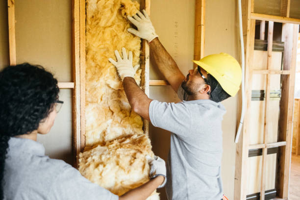 Best Wall Insulation Contractor  in Mayo, FL