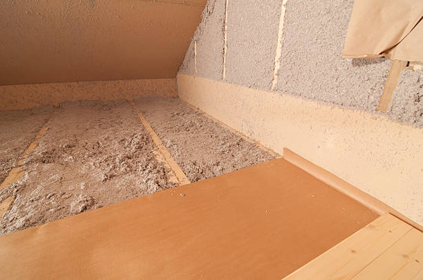 Best Cellulose Insulation  in Mayo, FL